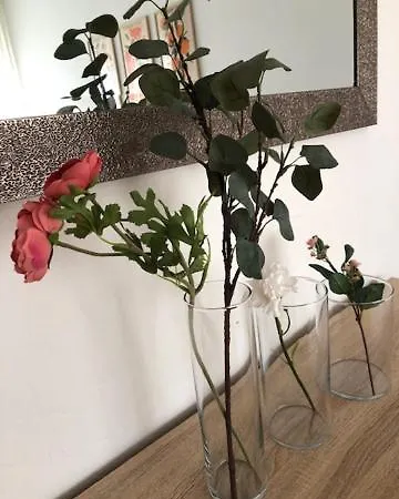 Апартаменты Blaze