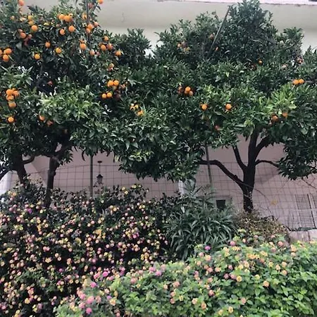 Апартаменты Blaze Dolac