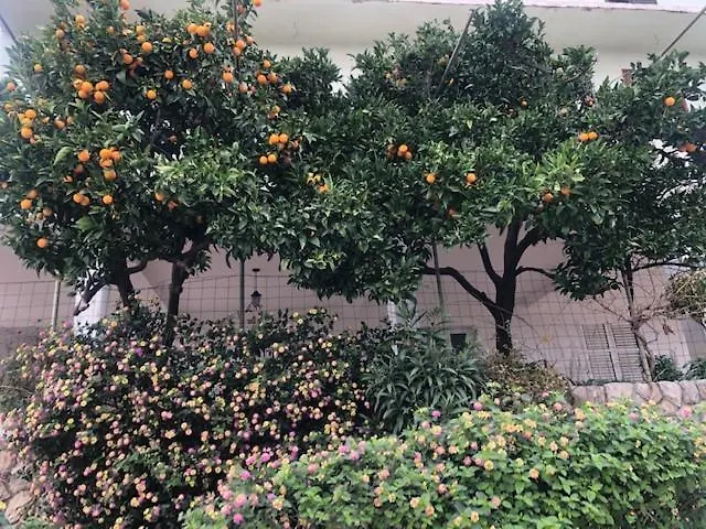 Appartement Blaze Dolac